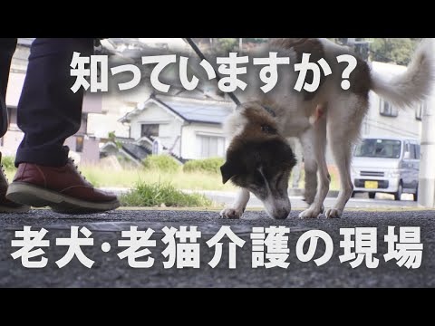 葬儀レビでわかる「喪中見舞い」を送るタイミングと文例